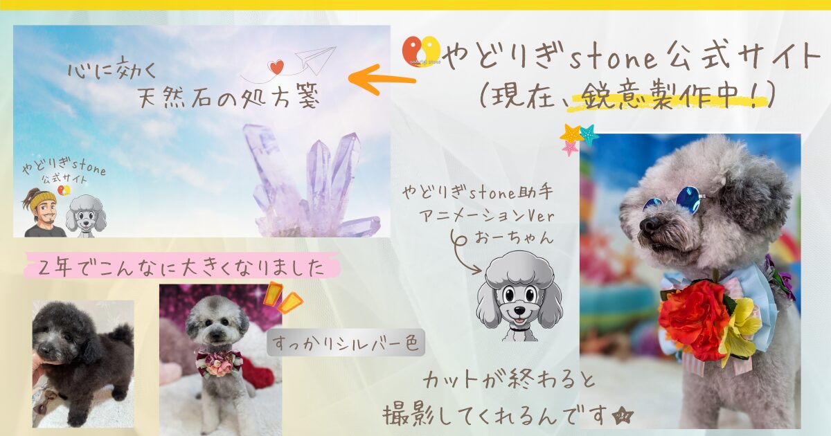 犬のおーちゃんの紹介。子犬から大きくなったおーちゃんの写真。