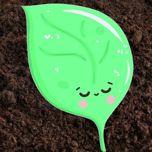 天然石の浄化方法のアイコンで土の背景に葉っぱのキャラクターが描かれている