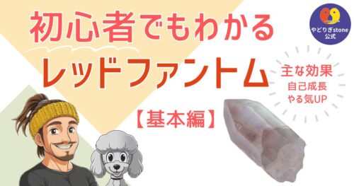 初心者でもわかるレッドファントムクォーツ基本編。レッドファントムクォーツの原石と代表キャラクターのだっち、おーちゃんのイラスト