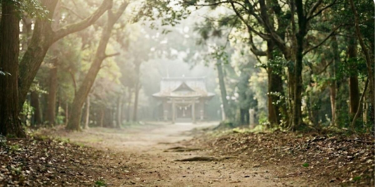 木立に囲まれた静かな土の参道の奥に、霞がかった神社かお寺の建造物が見えている風景